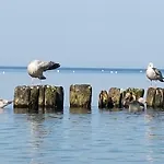Rajska Mierzeja , Sauna , Jakuzzi ,basen Z Podgrzewana Woda , Klimatyzacja-ogrzewanie , Plac Zabaw , Rowery , Taras *
