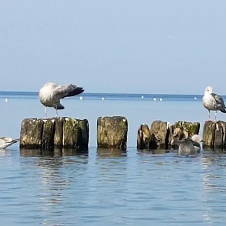 Rajska Mierzeja , Sauna , Jakuzzi ,basen Z Podgrzewana Woda , Klimatyzacja-ogrzewanie , Plac Zabaw , Rowery , Taras *