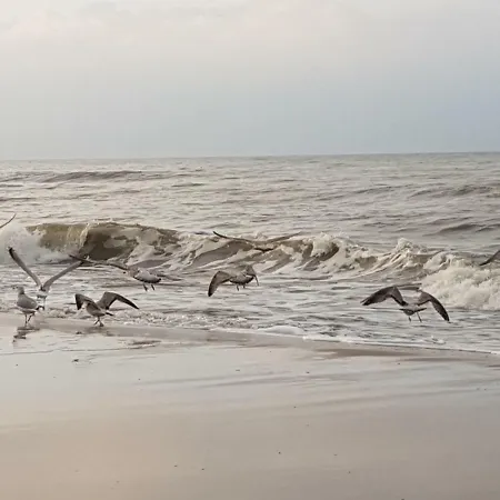 Rajska Mierzeja , Sauna , Jakuzzi ,basen Z Podgrzewana Woda , Klimatyzacja-ogrzewanie , Plac Zabaw , Rowery , Taras *