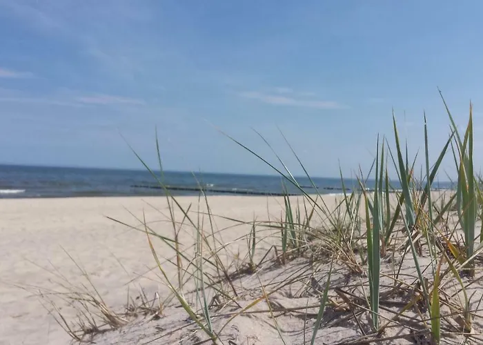 ホームステイ Rajska Mierzeja , Sauna , Jakuzzi ,basen Z Podgrzewana Woda , Klimatyzacja-ogrzewanie , Plac Zabaw , Rowery , Taras *